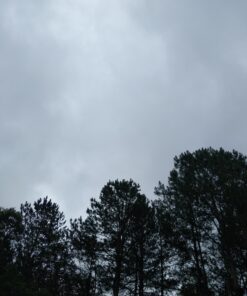 DOKIO 160W 18V Portable Solar Panel Kit (ONLY 9lb) Folding Solar Charger with 2 USB Outputs for 12v Batteries/Power Station AGM LiFePo4 RV Camping Trailer Car Marine…… 46 B155qevDkWS