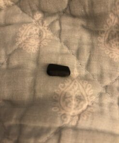 CORE 12 Person Instant Cabin Tent | 3 Room Huge Tent for Family with Storage Pockets for Camping Accessories | Portable Large Pop Up Tent for 2 Minute Camp Setup Green 31 B16HVxTHt9S