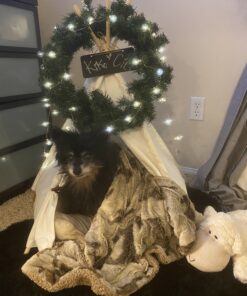 little dove Pet Teepee Dog & Puppy Cat Bed, Portable & Washable Pet Tents, House for Pets Beige Color 24 Inch no Cushion 26 B16unYOQZGS