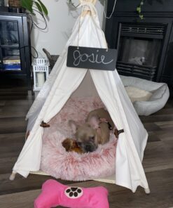 little dove Pet Teepee Dog & Puppy Cat Bed, Portable & Washable Pet Tents, House for Pets Beige Color 24 Inch no Cushion 35 B18BEvJ3cDS