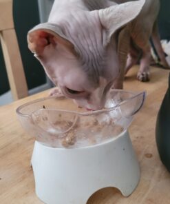 Purina Cat Chow Naturals With Added Vitamins, Minerals and Nutrients Dry Cat Food, Naturals Original - 13 lb. Bag Chicken & Salmon 13.00 Pound (Pack of 1) 40 B18lWoCwKaS