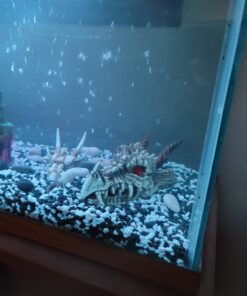 Penn-Plax Deco-Replicas Dragon Skull Gazer Aquarium Decoration – Safe for Freshwater and Saltwater Fish Tanks – Large 15 B1Aud3nJJ0S