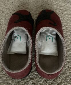 NonScents Shoe Deodorizer 1-Pack (2 Count) - Odor Eliminator, Air Freshener, Smell Absorber, Scent Remover for Shoes, Gym Bags, Soccer Cleats, Closets, Pet Area, Reusable - Shoe Deodorant 2 Count (Pack of 1) 32 B1BD1iifFJS