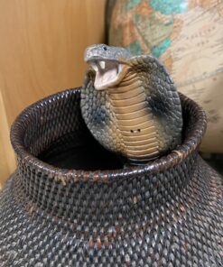 Safari Ltd. Cobra Figurine - Detailed 36" Flexible, Plastic Model Figure - Fun Educational Play Toy for Boys, Girls & Kids Ages 18 Months+ 35 B1BSy7nxAXS