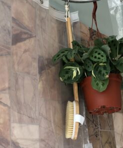 Belula Premium Dry Brushing Body Brush Set- Natural Boar Bristle Body Brush, Exfoliating Face Brush & One Pair Bath & Shower Gloves. Free Bag & How To – Great Gift For A Glowing Skin & Healthy Body 47 B1BUmMbnyUS 2