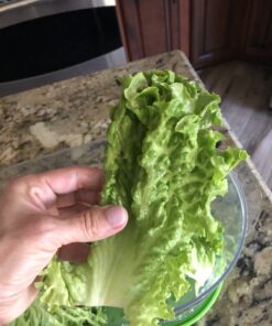 Prep Solutions by Progressive Lettuce Keeper Produce Storage Container, 4.7 Quarts 35 B1Brslm6 oS