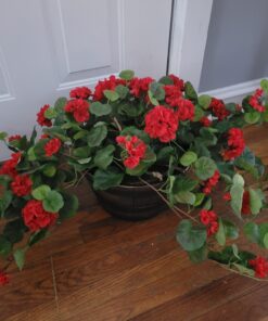 Nearly Natural 6609-RD 24in. Geranium Hanging Basket Silk Plant,Red,10.25" x 10.25" x 17.5" Red 29 B1CFjAUyN8S