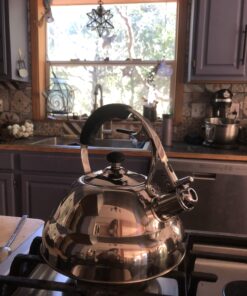 Willow & Everett Whistling Tea Kettle for Stove Top - 2.75 Quart Tea Pots for Stove Top w/Stainless Steel, Mirror Finish & Strainer Single Handle 53 B1CZdRlivDS