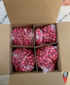 Valken Infinity Paintballs - 68cal - 2,000ct - Pink-Pink Fill 35 B1DV7Fdr5S