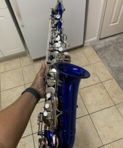 Glory Blue/Silver keys E Flat Alto Saxophone with 11reeds,8 Pads cushions,case,carekit 22 B1DqTJJoKfS