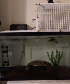 Tetra Whisper Power Filter for Aquariums, 3 Filters in 1, Up to 40-Gallons 29 B1EId7cieES