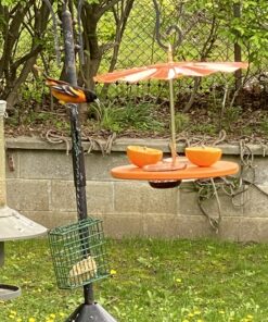 Kettle Moraine Super Oriole Recycled Orange Fruit, Jelly, Mealworm Bird Feeder w/Orange Roof 40 B1EntBvw6hS