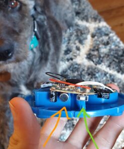 Learning Resources Recordable Answer Buzzers - Set of 4, Ages 3+ | Pre-K Personalized Sound Buzzers, Recordable Buttons, Game Show Buzzers, Perfect for Family Game and Trivia Nights 29 B1F7wKnmwS