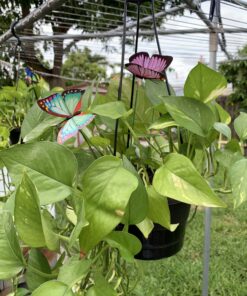 Teenitor 40 Pcs Butterfly Stakes, 5 Different Size Garden Ornaments Patio Decor Butterfly Party Supplies Outdoor Yard Stakes Decorative 1 1.7/2.7/3.5/4.8/5.9inch 43 B1FS6kNnqDS