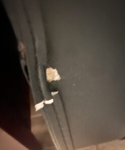 Gator GWE-DREAD-12 Cases HardShell Wood Case For 6 Or 12 String Acoustic Dreadnought Guitars 6/12 String Dreadnought Guitar 56 B1FbGTMPjDS