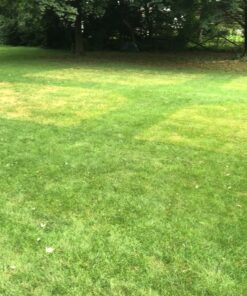 Miracle-Gro Garden Feeder 1 Pack 42 B1FeXEvwtYS