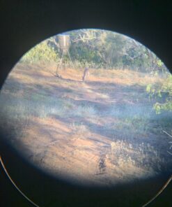 Bushnell Falcon 10x50 Wide Angle Binoculars (Black) Black 60 B1GGLTCSfKS