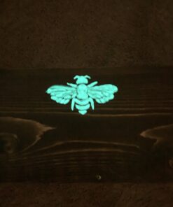 Glow in The Dark Pigment Powder - Neutral and Fluorescent color for Art Painting, Fine Art, Nail Art Paint, and DIY Crafts - Non-Toxic, Long Lasting 10+ Color Options - Neutral Aqua - (12 Grams) 12 Grams 42 B1HZ8FvbGKS