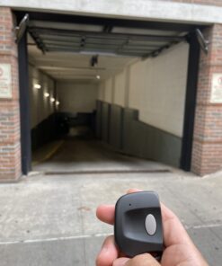 Firefly 300 multicode 3089, 3060, 3070, Compatible Keychain Remote with Better Range & You Pay Less! (Gray) 18 B1JP4WtX4vS