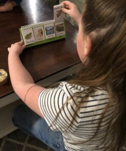 Junior Learning Sentence Flips Double-Sided Flip Stand, Ages 4-6, Vocabulary & Grammar, K-1 24 B1LhSVFuMrS