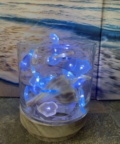 Impress Life Decorative String Lights, Sea Glass Festive Beach Themed 10 ft 40 LEDs Battery&USB Cord Operated Eco-Friendly with Multi-Function Remote for Tent Wedding Nursery Bedroom Party Ornament 55 B1NaFWHNmnS