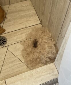 Paws & Pals Dog Brush - Gentle Soft Hair Rake Trimming Comb - Best for Shedding Dogs-Cats, Thick Long Short Haired Pet, Coat Grooming & Cat Hair Fur Removal - Self Cleaning - Deshedding Supplies 39 B1OIXaFuIjS