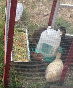 Ware Manufacturing Chicken Feeder Trough 1 6 B1Oci5vMQGS