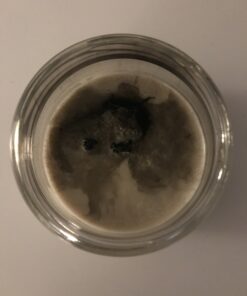 EricX Light 100 Piece Cotton Candle Wick 6" Pre-Waxed for Candle Making,Candle DIY 34 B1PiBebqnOS