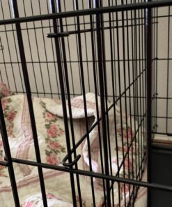 MidWest Homes for Pets Large Dog Crate | MidWest Life Stages Double Door Folding Metal Crate | Divider Panel, Floor Protecting Feet, Leak-Proof Pan | 42L x 28W x 31H Inches For Large Dog Breed 42.0"L x 28.0"W x 30.0"H Lifestages; Double Door 41 B1Q4ypO6PzS