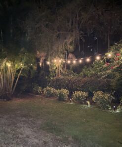 Lemontec Commercial Grade Outdoor String Lights with 15 Hanging Sockets - 48 Ft Black Weatherproof Cord Weatherproof Strand for Patio Garden Porch Backyard Party Deck Yard – S14 Black 47 B1Rfk6e9cS