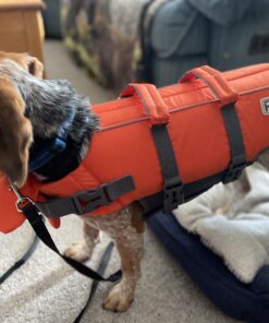Outward Hound Granby Splash Orange Dog Life Jacket, Small Granby (Flotation) Small (Chest Girth: 16"-20") 41 B1SBUI9RcyS