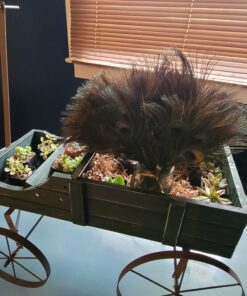 Collections Etc Amish Wagon Decorative Indoor/Outdoor Garden Backyard Planter, Green 51 B1SKtIot9WS