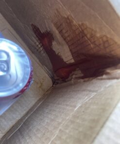 Bang Energy Black Cherry Vanilla, Sugar-Free Energy Drink, 16-Ounce (Pack of 12) 16 Ounce (Pack of 12) 47 B1ScVnRGJgS