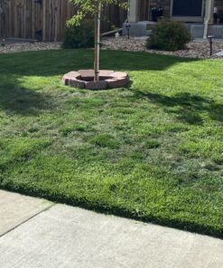 Lawnlift Ultra Concentrated (Green) Grass Paint 16oz. = 1.375 Gallons of Product. 51 B1SpAJ3nxMS