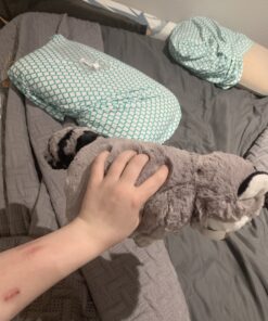 Wild Republic Raccoon Plush, Stuffed Animal, Plush Toy, Gifts for Kids, Cuddlekins 12 Inches 42 B1TSvSVSkYS