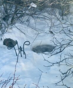 Iron Forge Cable 50 Ft Outdoor Extension Cord, 16/3 Green 50 Foot Extension Cord Indoor/Outdoor Use, 3 Prong, Weatherproof Jacket Extension Cord, Great for Christmas Lights and Outside 50FT 15 B1UGmzuyAS