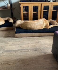 PETMAKER Orthopedic Memory Foam Pet Bed with Bolster, Large 45" x 32" 21 B1UkWHWhZS 1