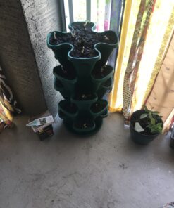 Mr. Stacky 1305-HG 5-Tier Stackable Strawberry, Herb, Flower, & Vegetable Planter - Vertical Gardening Indoor / Outdoor Stacking Garden Pots Hunter Green, 22.5 Quarts 25 B1VDe22eJdS