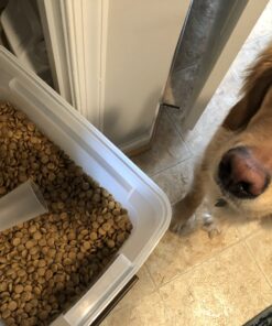 NUTRO NATURAL CHOICE Large Breed Adult Dry Dog Food, Lamb & Brown Rice Recipe Dog Kibble, 30 lb. Bag 30 Pound (Pack of 1) 35 B1Vr8WoGb0S 2