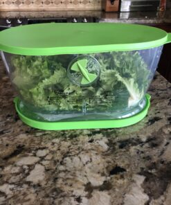 Prep Solutions by Progressive Lettuce Keeper Produce Storage Container, 4.7 Quarts 36 B1VxlASiroS
