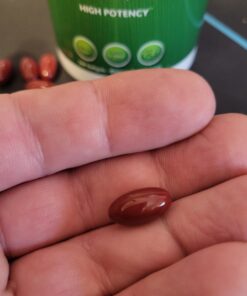 Purely Holistic CoQ10 100mg - 240 SoftGels - 8 Month Supply - Ubiquinone Coenzyme Q10 Supplement - with Organic Olive Oil - Soy Free Co Q 10 - Made in The USA 40 B1WuVz9jQdS