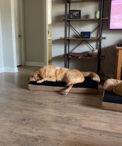 PETMAKER Orthopedic Memory Foam Pet Bed with Bolster, Large 45" x 32" 22 B1Y1ZFSTOLS