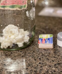 Live Milk Kefir Grains - Live Probiotic Culture 31 B1Z NLWgMYS