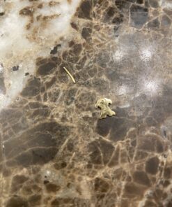 14k Gold Plated Baby Puppy Cubic Zirconia Screwback Baby Girls Screwback Earrings with Silver Post 13 B1ZkgwvRV5S