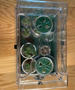 EarlyGrow 93763 Medium Seed and Herb Domed Propagator with Vented Side Height Extension, Extender, Green Medium with Side Extender 62 B1a83l7 YpS
