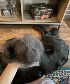 Andis 65730 Stainless-Steel Comb for Knots, Mats & Loose Hair Removal - Effective Dematting Tool, Comfortable, Lightweight, Portable & Safe for Dogs, Cats & Pets – Silver, 7-1/2-Inch 7 1/2" 31 B1aWtiDIphS