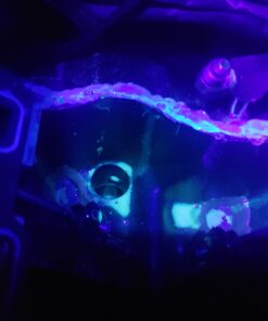 InterDynamics Certified Auto Pro Oil and Fuel System UV Dye Leak Detection for Cars & Trucks & More, 1 Oz, 374CS, Universal 20 B1am7h7CqfS