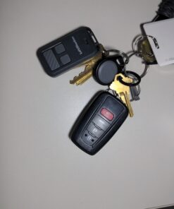 LiftMaster 890max Mini Key Chain Garage Door Opener Remote, 2.5" Long x 1.25" Wide x 1/2" Thick, Black with Gray Buttons 34 B1anJL73FbS