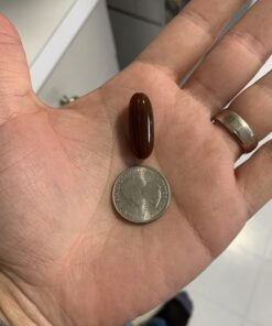 Sunflower Lecithin 1200 mg Soy-Free, Non-GMO - 200 Softgels 200 Count (Pack of 1) 29 B1bJW23NaES