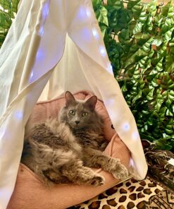 little dove Pet Teepee Dog & Puppy Cat Bed, Portable & Washable Pet Tents, House for Pets Beige Color 24 Inch no Cushion 38 B1bfJE7AE5S